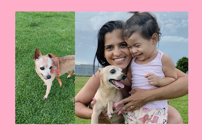 Pingo foge no São José. Bebê de 2 anos e tutora,estão desoladas. Doguinho tem 14 anos