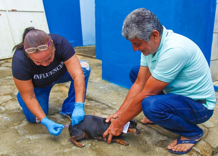 Amanhã: Tem vacinação antirrábica Rio Quartel. Leve seu pet