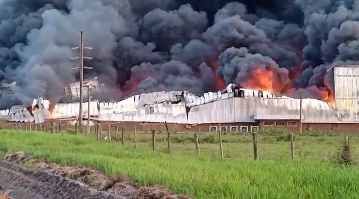 Incêndio na Cacau Show: Políticos se manifestam. “Extremamente triste”, diz deputado