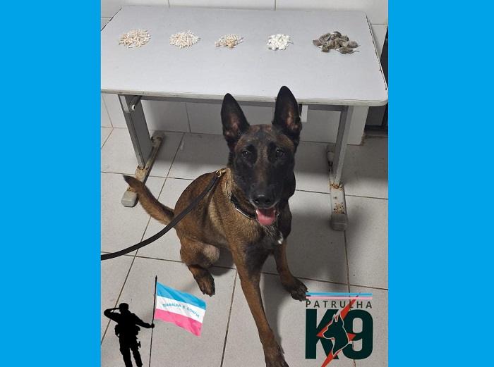 Mais prejú (pro tráfico) no Pó do Aviso. E é outra ação da Força Tática K-9
