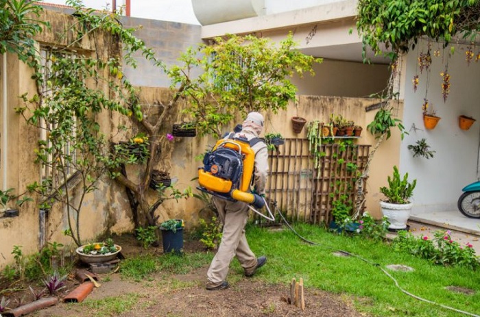 Ação: Inseticida com bomba costal em bairros com alto índice de dengue em Linhares