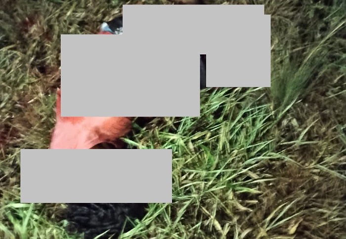 Acidente gravíssimo perto do Trevo de Povoação, Linhares. Imagens muito fortes