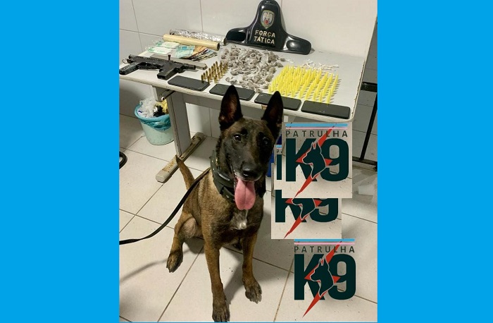 Topeira conduzido: Força Tática e K-9 apreendem drogas e submetralhadora no Movelar