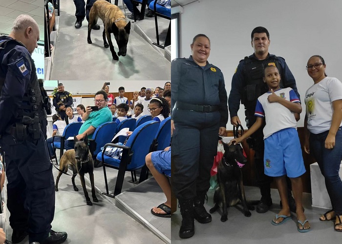 GCM de Linhares terá cães farejadores que deixarão a bandidagem de cabelos em pé
