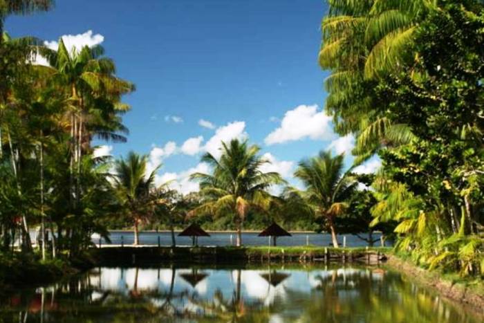 Curso de graça sobre turismo rural em Linhares