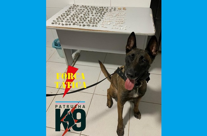 Drogas apreendidas e correria na “fazendinha”, bairro Palmital, Linhares