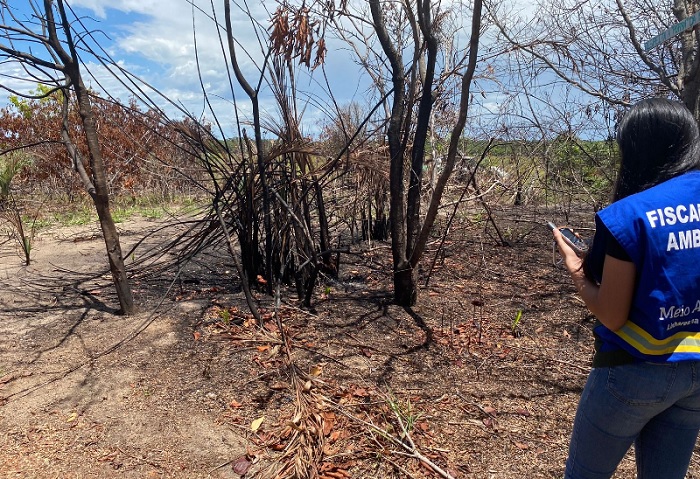 Meio Ambiente alerta população sobre cuidados para evitar incêndios em áreas de restinga em Linhares
