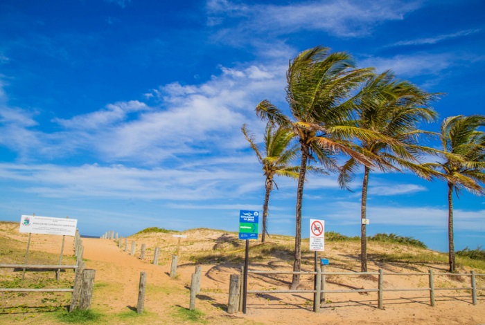Praia: Que tal levar sacola para colocar o lixo e ajudar na preservação do Meio Ambiente?