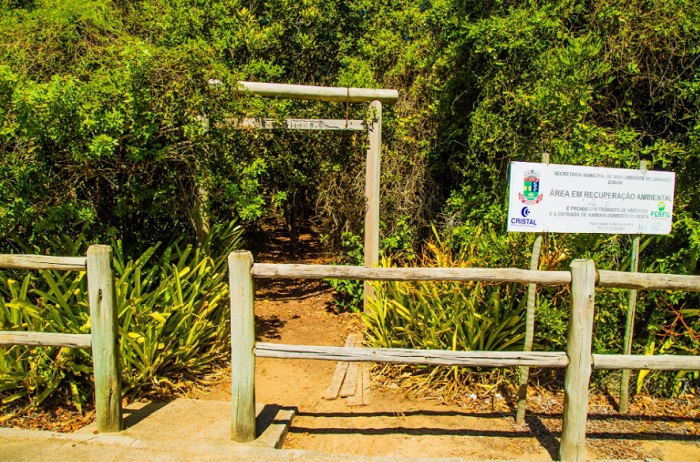 Trilha da Tartaruga será reaberta no Pontal do Ipiranga após 15 anos desativada