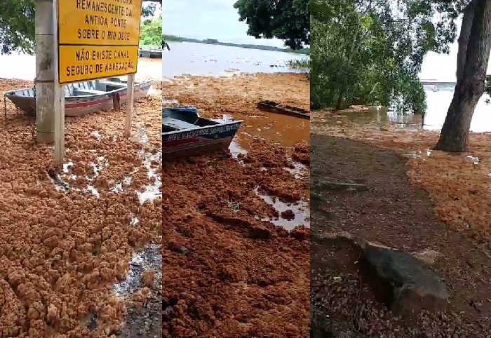 O que é isso no Rio Doce, em Linhares? Cenas impressionam
