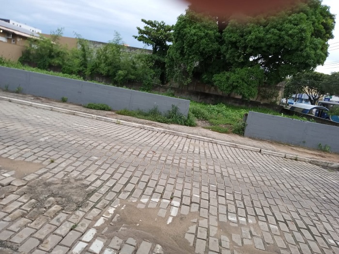 Leitora pede limpeza de lote no Centro de Linhares, e cita “pelo amor de Deus”
