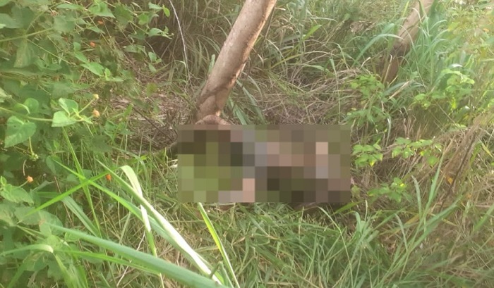 Corpo com pulsos amarrados é encontrado no interior de Linhares