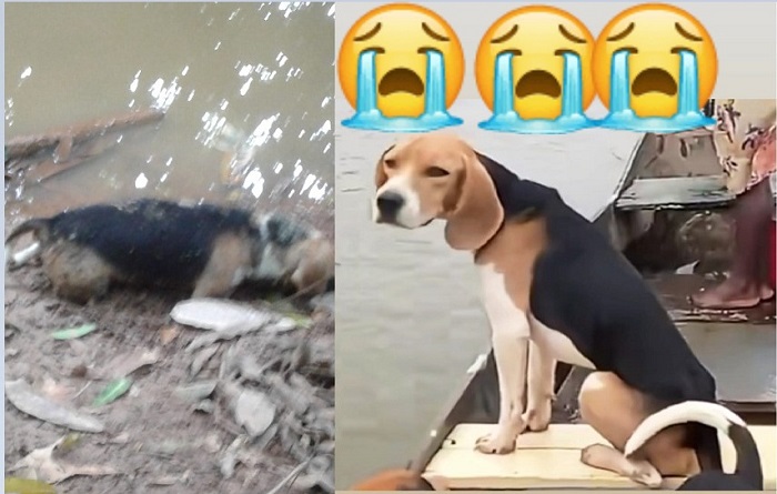 Big é encontrado por leitora, mas a notícia não é boa