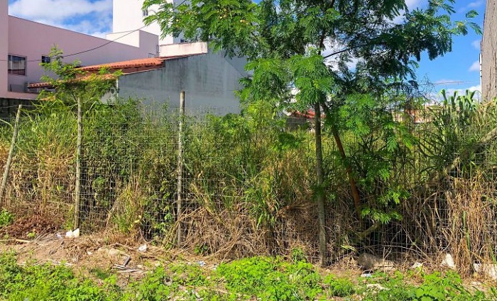 R$ 1,6 mil de multa nos lotes baldios em Linhares. Fiscalização está de olho