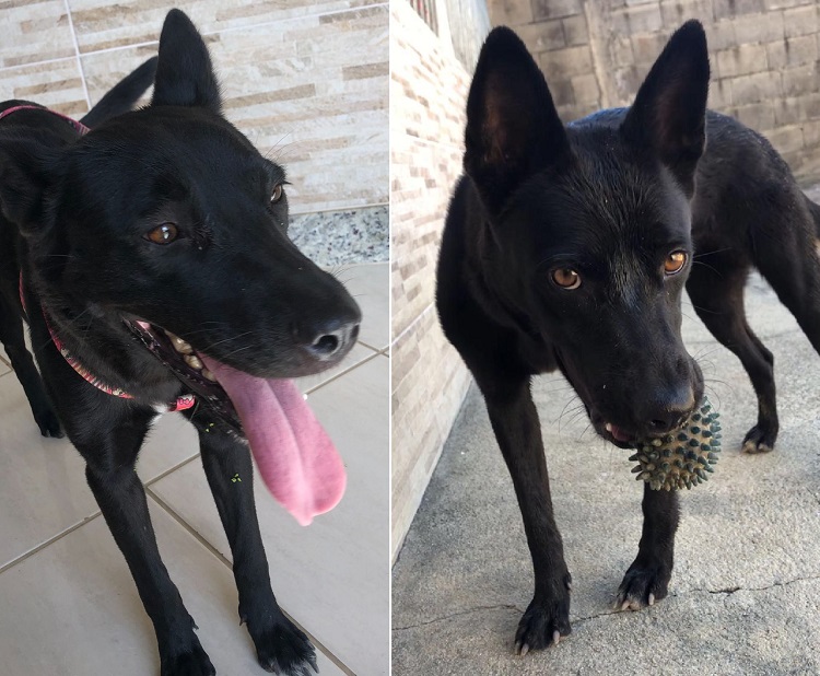 Lua encontrada por leitora: 