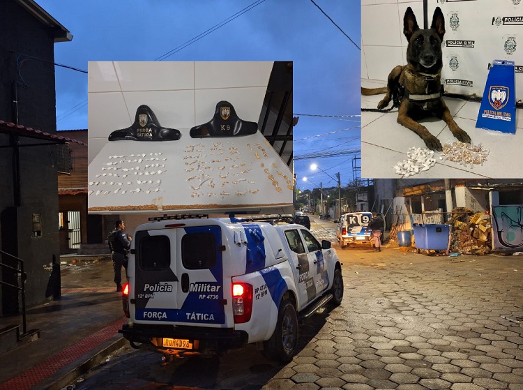 Pó do Aviso: Muitas pedras de crack e papelotes de cocaína apreendidos pela PM em Linhares