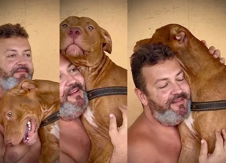 Zeus quer novo tutor só para ele. “Melhor coisa que fiz na vida” 