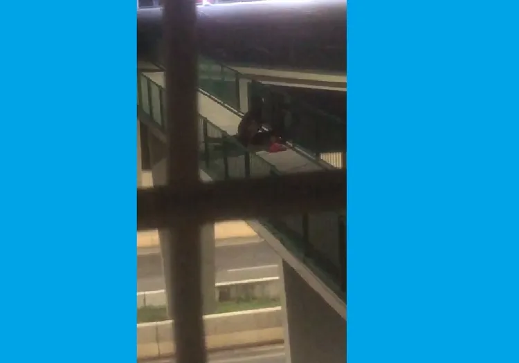 Passarela vira motel em plena madrugada em Linhares