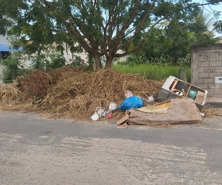 Carro do lixo passa, mas no outro dia está assim de novo, diz leitor da Vila Isabel