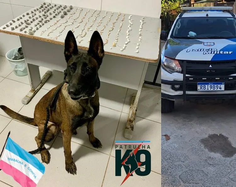 Pó do Aviso: Crack, maconha e cocaína apreendidos (de novo) pela Força Tática. Panthera farejou