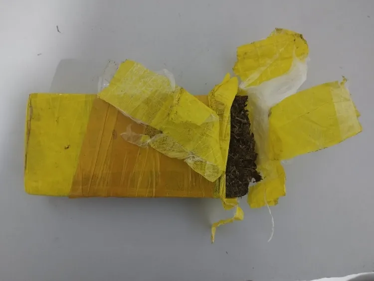 Quase 500g de maconha apreendidos pela PM em Linhares. Detido disse que era pra consumo próprio