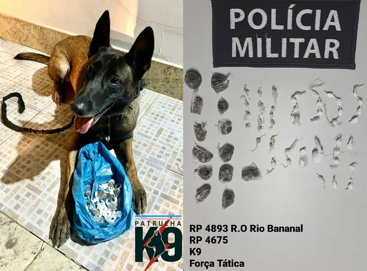 Deu ruim no espetinho. Pantera farejou tudo em Rio Bananal