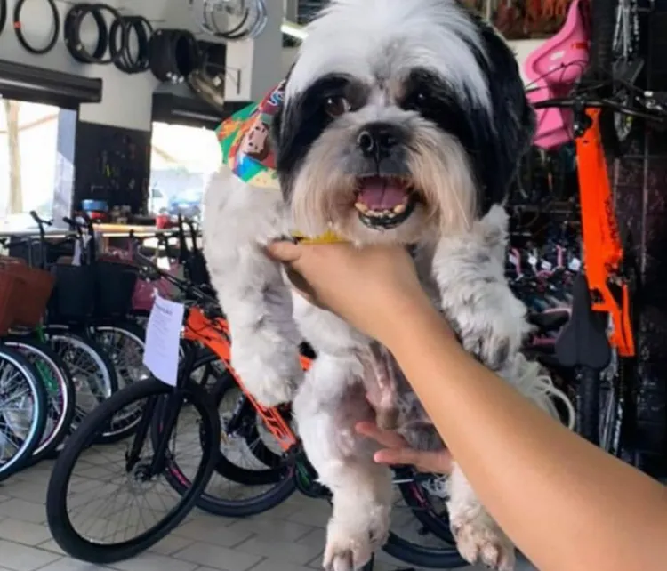 Nick encontrado! Estava no próprio barro, o Araçá