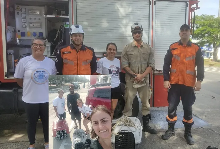 Resgate emocionante em Linhares. Doguinho estava há dias no bueiro