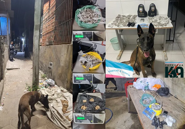Mais de 1kg de droga no beco, bairro Aviso, Linhares. Força Tática chegou chegando
