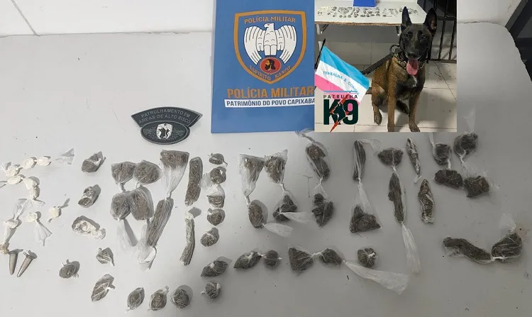 G.A. e K-9 frustram traficância no Nova Esperança, Linhares