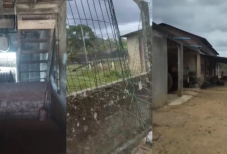 Lalau de cacau age em Linhares: “Ainda estava molhado na barcaça”