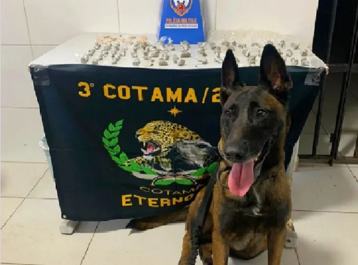 G.A. e K-9 no Interlagos, Linhares. Apreensão de drogas em terreno baldio