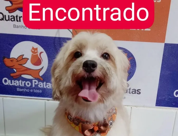 Olhe quem foi encontrado: Sim, o Pity. "Foi após a manchete".