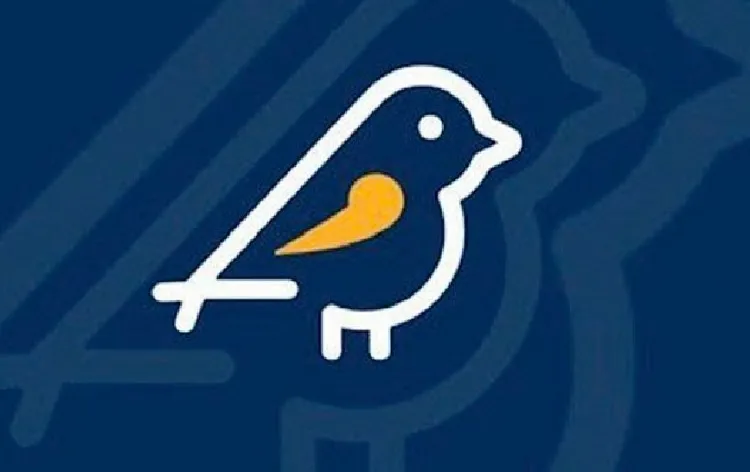 Pardal 2024 de “asas abertas” para denúncias de propaganda eleitoral irregular na internet
