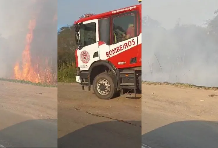 Chamas consomem vegetação, incluindo enormes árvores nos dois lados da BR-101 em Linhares