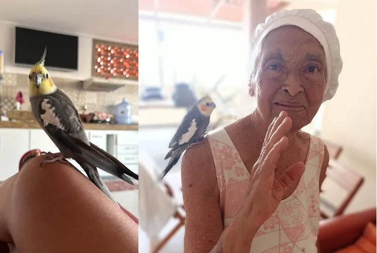 Recompensa: Zangado foge no Shell. “É o xodó da minha mãe de 81 anos”