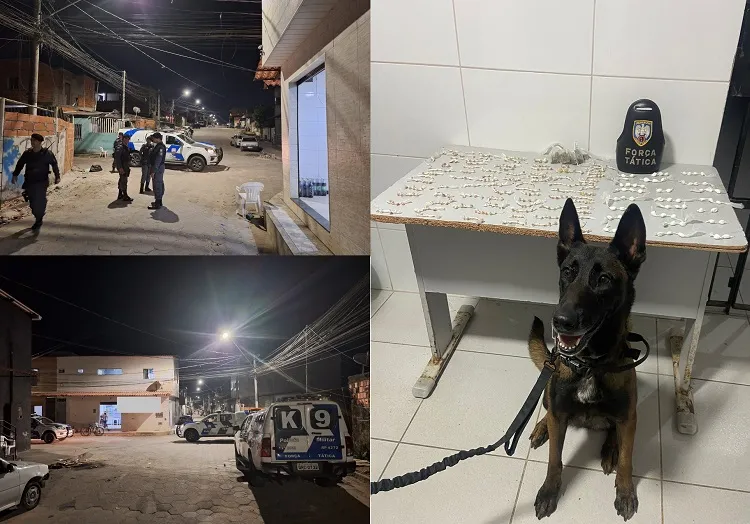 ‘Varredura’ no Aviso, Linhares. Força Tática com a K-9 apreendeu drogas prontas para a venda