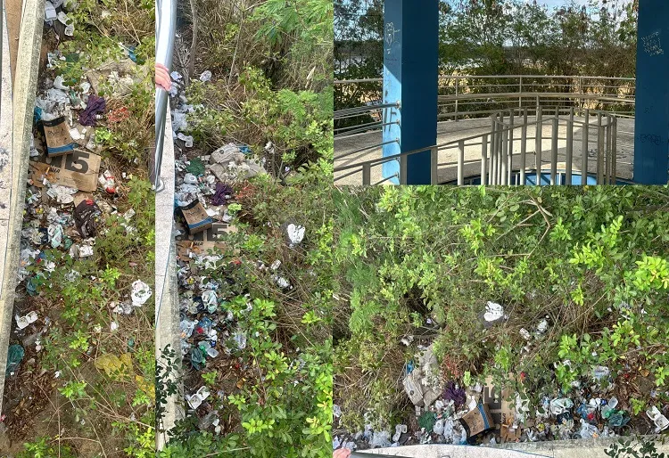 Lixo às margens do Rio Doce e bem ao lado da Praça 22 de Agosto, em Linhares