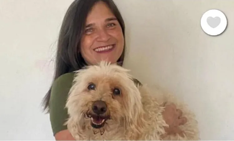 Ajuda urgente para doguinho atacado por pitbull em Linhares