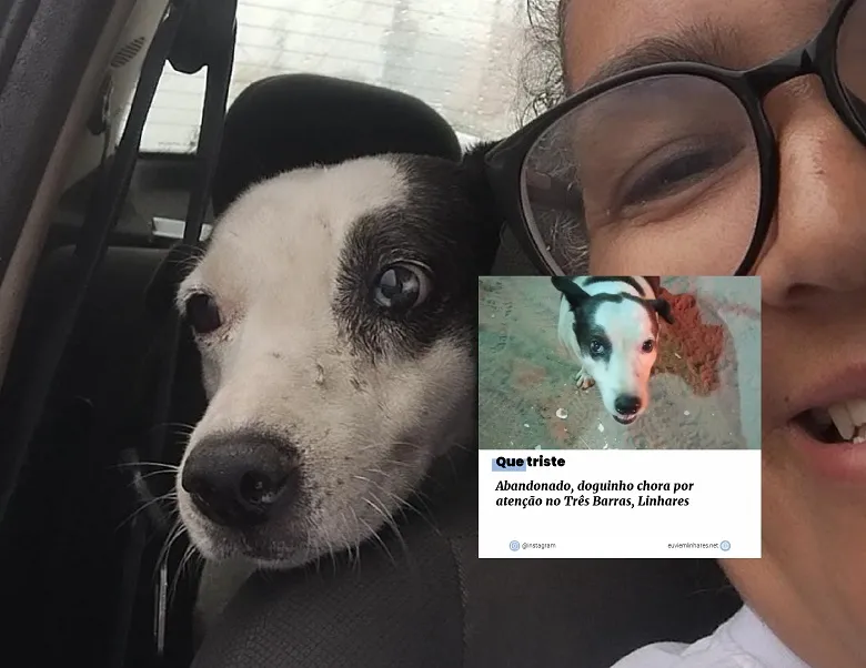 Abandonado, doguinho que chorava de tanta carência, agora tem novo lar em Linhares