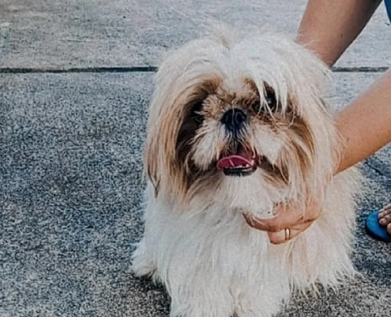 Estrela encontrada! “Viram meu contato no Eu Vi em Linhares, foi muito rápido”
