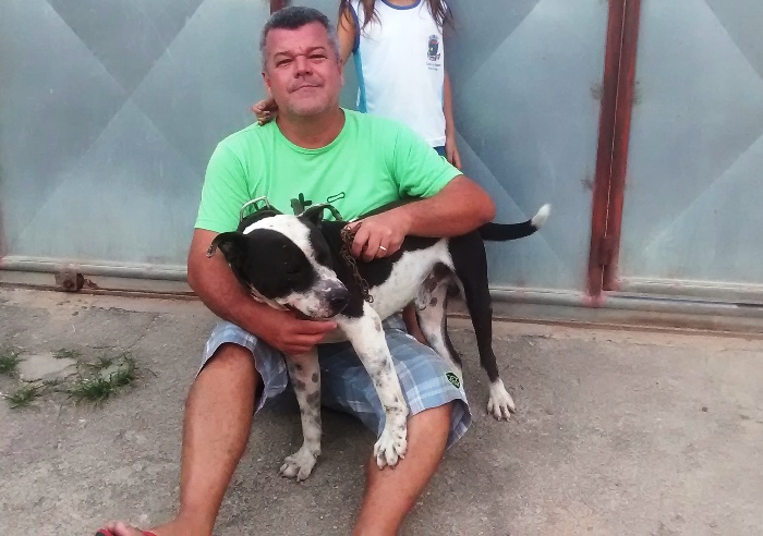 Ajudem:Luck não suporta outros cachorros e precisa de tratamento ou dono exclusivo