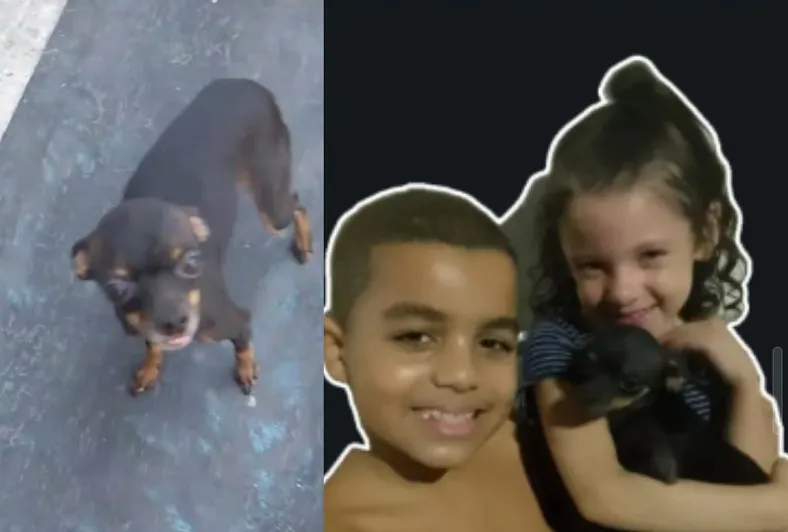 Recompensa: Tiquinho foge no Interlagos. Criança autista está até com febre
