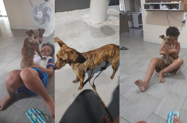 Recompensa: Espiga se desespera com fogos e foge no Interlagos