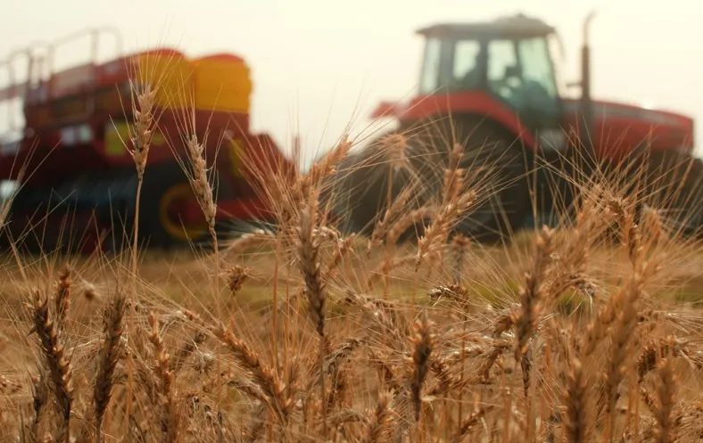 Gerenciamento de crises no Agronegócio - desafios e oportunidades