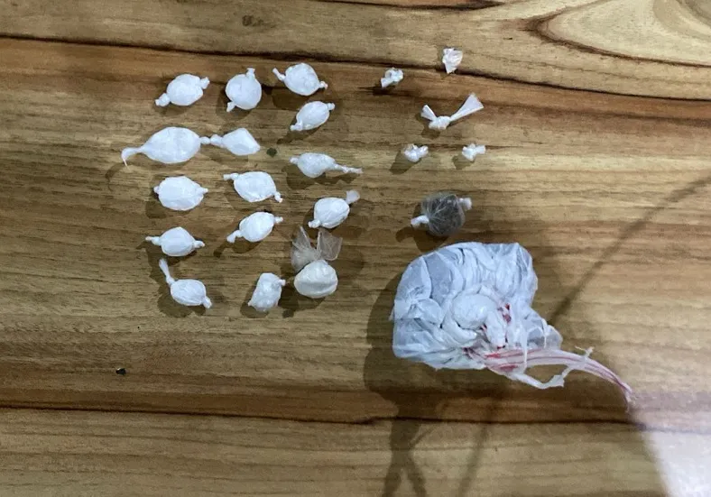 Traficante dispensa droga e sai desesperado ao perceber Força Tática chegando. Foi no Aviso
