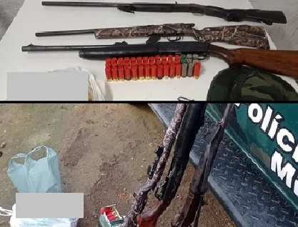 Mandado: Tatu abatido, armas e munições apreendidos em Alto Rio Novo