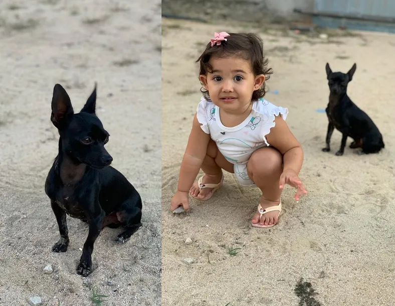 Recompensa: Thase foge no Interlagos. “Minha filha chora de saudade”