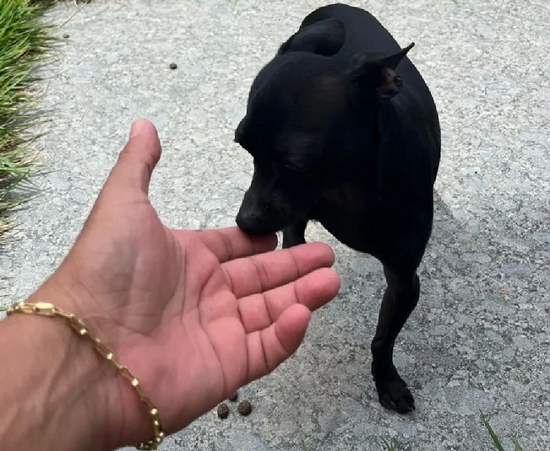 Olha o Thase aí! Ele havia fugido no Interlagos. “Gratidão!”