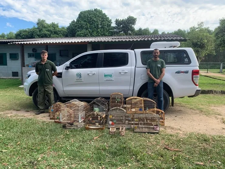 Cativeiros ilegais de fauna em Aracruz. Iema combateu